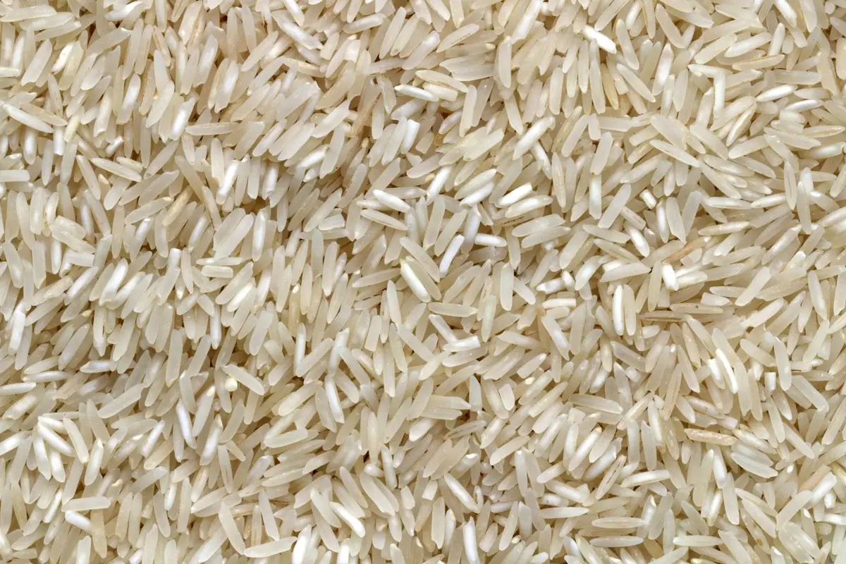 Imagem ilustrativa: kichdi de arroz, lentilha e legumes