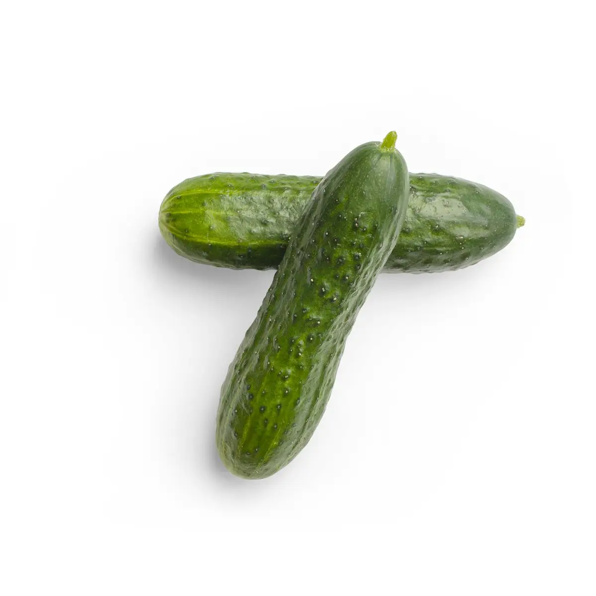 Imagem ilustrativa: raita de pepino